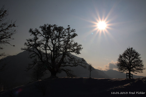 Winterstimmung auf dem Weg zur Breitenberghütte (Jan. 2013)