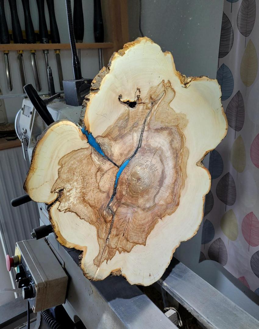 Eine Zedernschale mit 45 cm Durchmesser, die Fehlstellen wurden mit blauem Harz verfüllt
