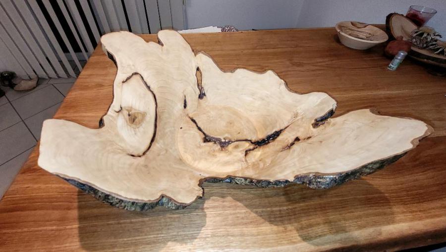 Meine bisher wohl schwierigste Schale aus einer Hainbuche: 60 cm Durchmesser und sehr verwachsen – dadurch besonders schwierig, aber auch ein besonderes Unikat