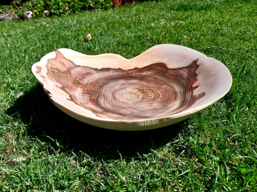Eine Weiden-Hirnholzschale mit 40 cm Durchmesser