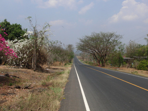 Einsame Radstrecke in Richtung Sukhothai – die Straßen sind bestens